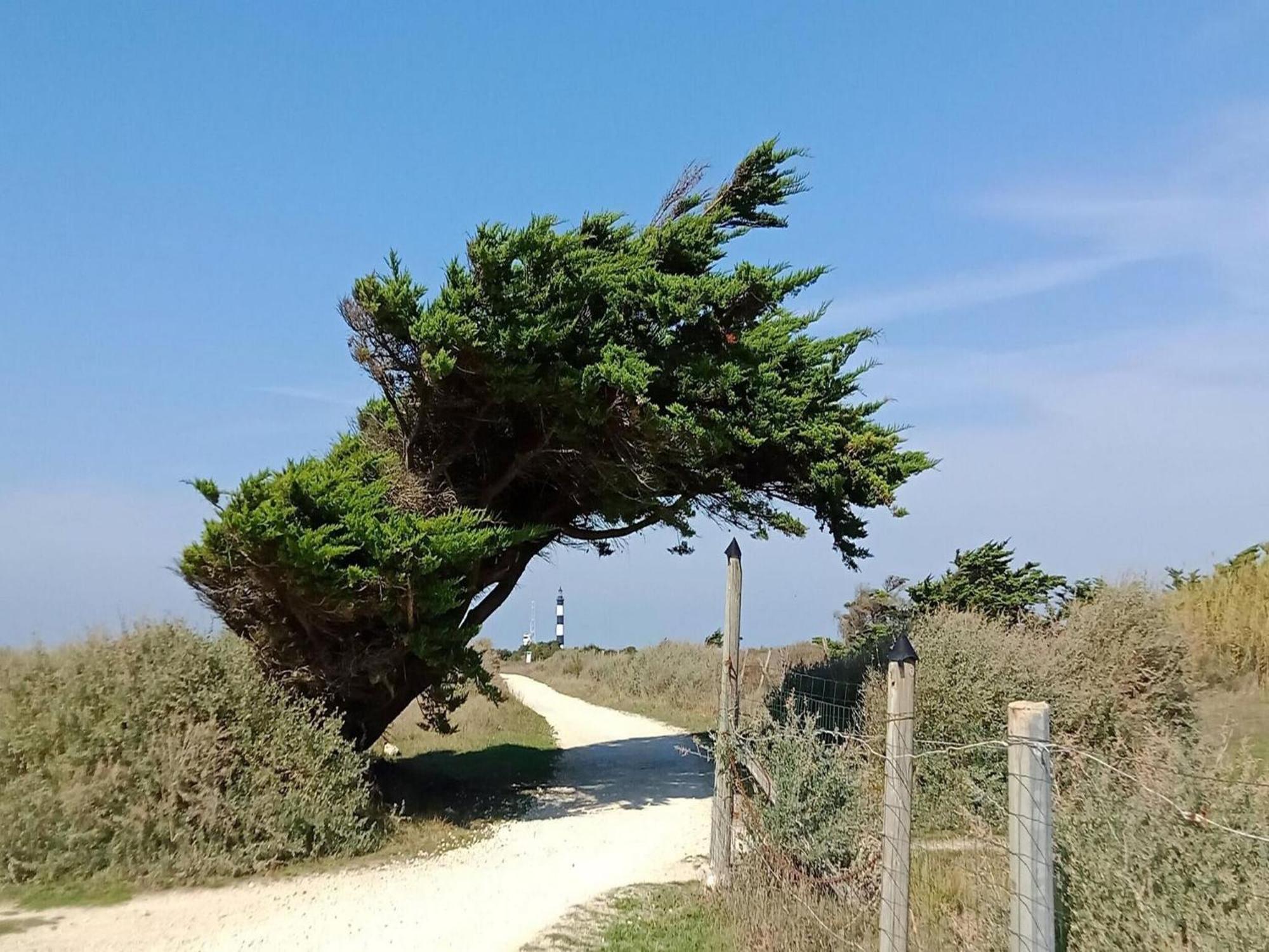 Les Hameaux Des Sables Vignie Saint Georges D Ol Ron Holiday Home Not Detached Luaran gambar