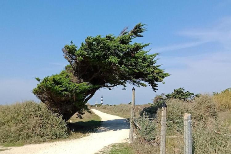 Les Hameaux Des Sables Vignie Saint Georges D Ol Ron Holiday Home Not Detached Luaran gambar